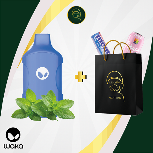 Waka Vape Kick – 15 000 Puffs Casablanca Mint 🌿❄️