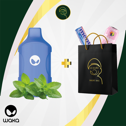 Waka Vape Kick – 15 000 Puffs Casablanca Mint 🌿❄️