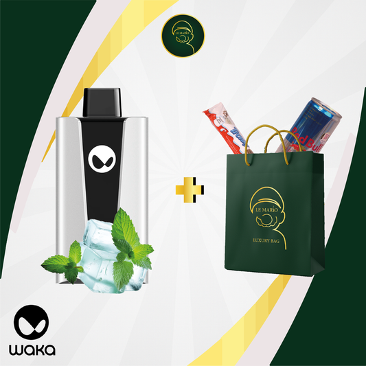 Waka SoPro Fresh Mint 25 000 Puffs | Vape Jetable Maroc