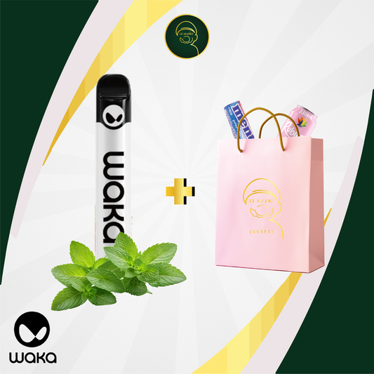 Waka Solo 2 Fresh Mint 2500 Puffs | Vape Jetable Casablanca Maroc - Le Mario