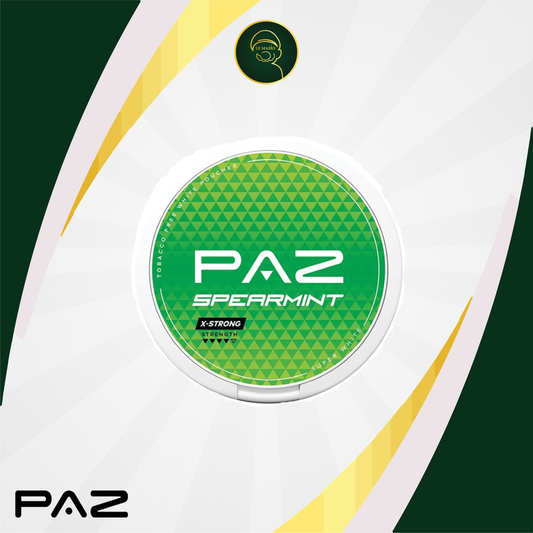 Paz Spearmint Nicotine Pouches – 18mg 🌿❄️⚡