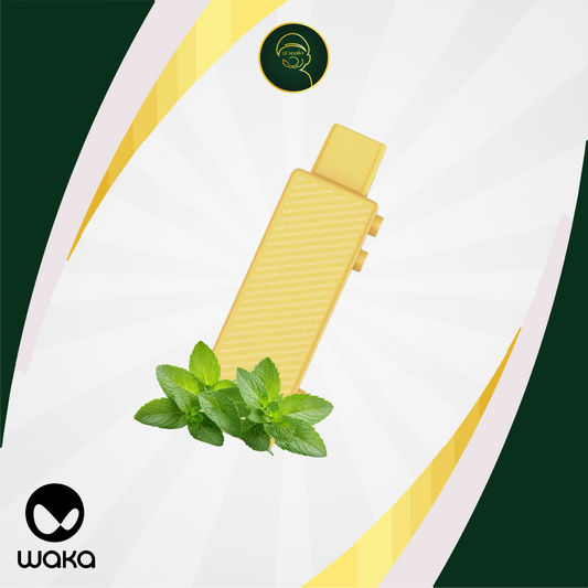 Waka Creator Pod Mojito Mint (15 Puffs) | Vape Jetable Maroc
